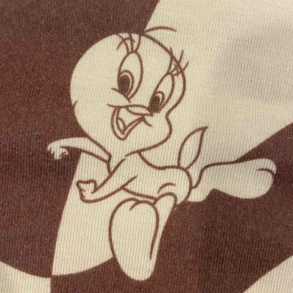 Looney Tunes Graphic Checkered Mini Skirt - NWOT